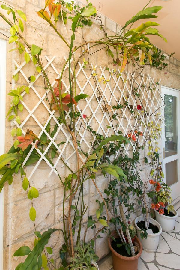 Yellow Room Guesthouse Dubrovnik Luaran gambar